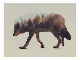 Poster  Loup de la forêt norvégienne - Andreas Lie