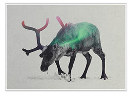 Poster  Renne en aurore boréale - Andreas Lie