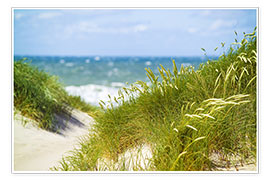 Poster Souffle de la mer dans les dunes de la côte baltique
