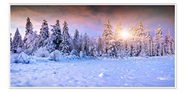 Poster  Lever du soleil dans la forêt en hiver