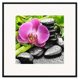 Impression artistique encadrée  Cairn et orchidée