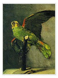 Poster  Le perroquet vert - Vincent van Gogh
