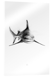 Tableau en verre acrylique  Requin III - Alexis Marcou