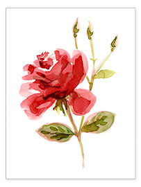 Poster Rose rouge
