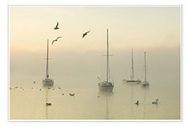 Poster  A misty morning over Lake Windermere Lake District