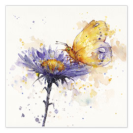 Poster  Fleur et papillon - Sillier Than Sally