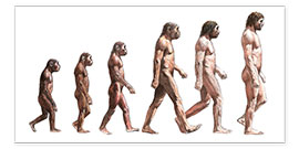 Poster  L'Évolution humaine - Lionel Bret