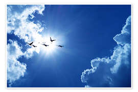Poster  Oiseaux volant devant le soleil
