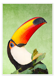 Poster  A colourful toucan bird on a tropical background. - Alex Saberi