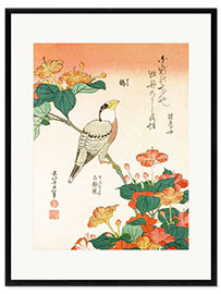 Impression artistique encadrée  Belle-de-nuit et Gros-bec - Katsushika Hokusai