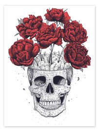 Poster Crâne avec pivoines