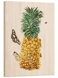 Tableau en bois  Ananas et insectes - Maria Sibylla Merian