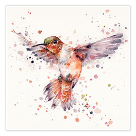 Poster Rufous le colibri