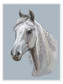 Poster White horse portrait