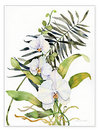Poster  Orchidée papillon - Kathleen Parr McKenna