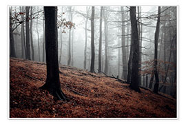 Poster Brouillard mystique dans une forêt de résineux