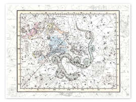 Poster  Constellations de la Petite Ourse et de Cassiopée, planche 2 - Alexander Jamieson