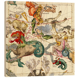 Tableau en bois  Atlas céleste, planche 2 - Ignace Gaston Pardies