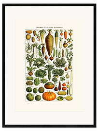 Impression artistique encadrée  Assiette de légumes anciens - Patruschka